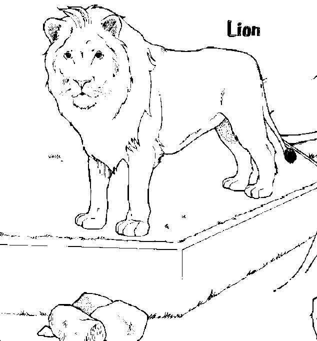 coloriage statue de lion